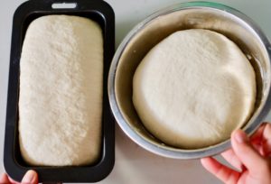 proofed bread dough