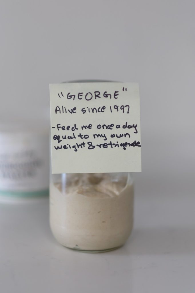 george - the sourdough starter from BSB